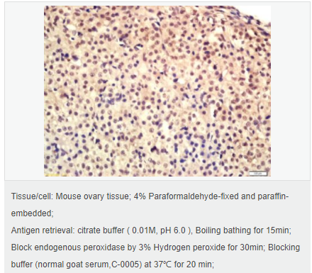 6052ab7c47925.png image.png