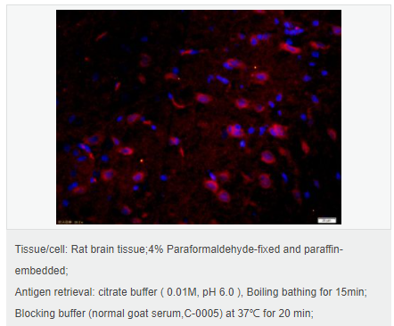 6052adb731799.png image.png