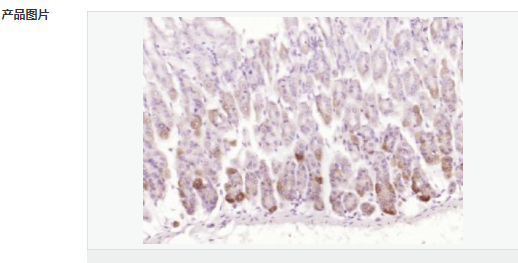 6052b324d8f87.png image.png