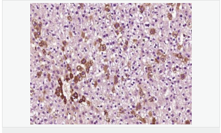 605433eccb95b.png image.png