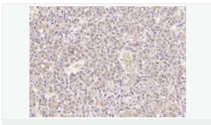 60543fc79cfbd.png image.png