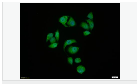 6058013539fc7.png image.png