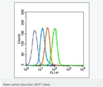 60584b9a65b4c.png image.png