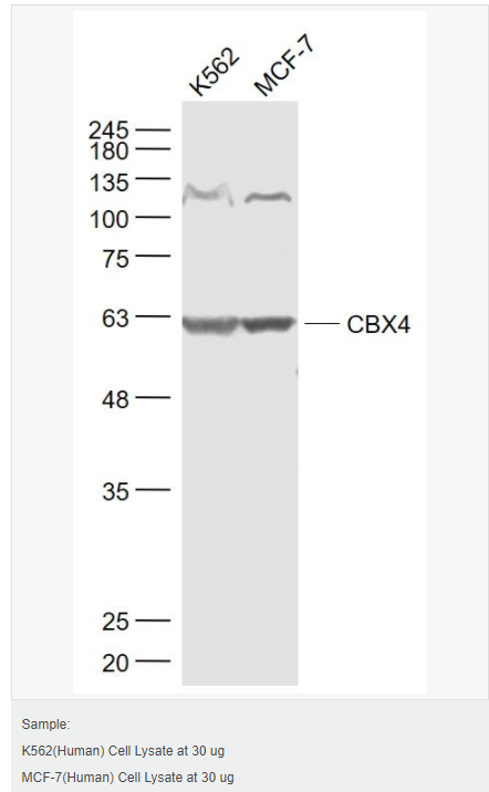 60595be1d808a.png image.png