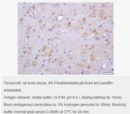 6059973fabb5d.png image.png