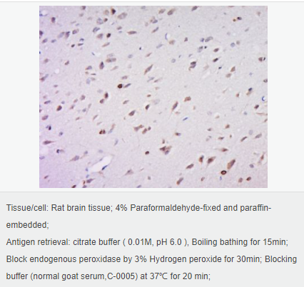 605c4bf786873.png image.png