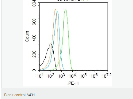 60616f0a622dc.png image.png