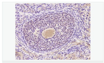 6063d5532ce27.png image.png