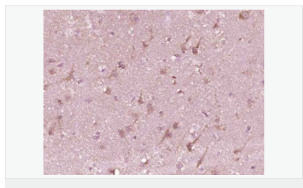 6066c592b23e7.png image.png