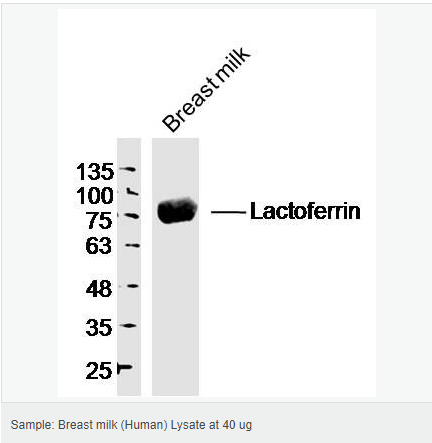 6066c62046f6d.png image.png