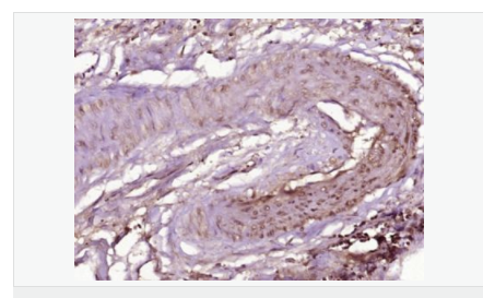 6066ca8d39329.png image.png