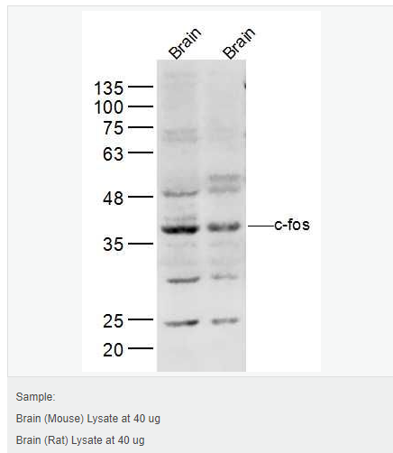 606bce2d1b9b2.png image.png