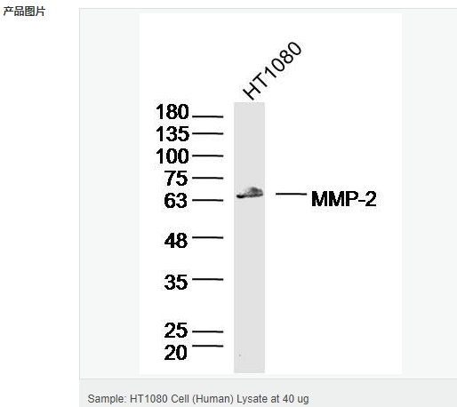 607645d021afa.png image.png