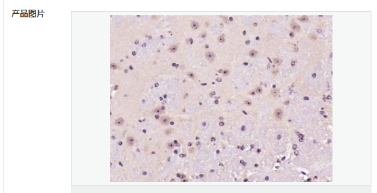 607646775fe6e.png image.png