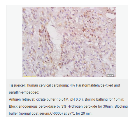 6076564801772.png image.png