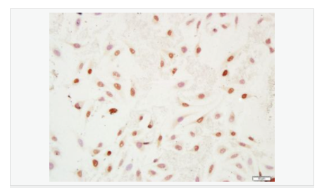 607657474c24f.png image.png