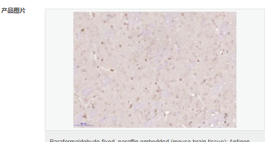 6076594aa11d4.png image.png