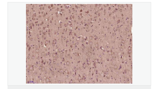 607681748e8c9.png image.png