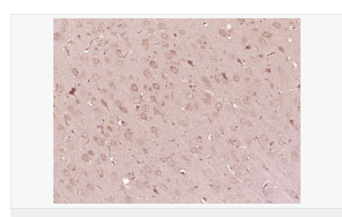 60779592a7de1.png image.png