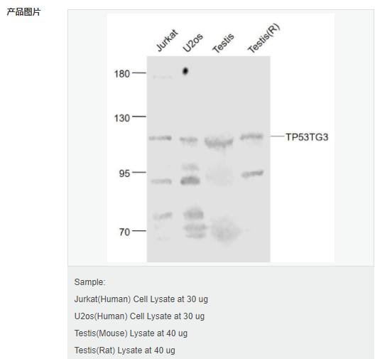 60794a08edf16.png image.png