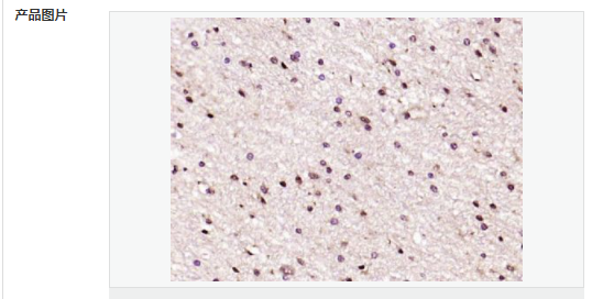 607d1457a8988.png image.png