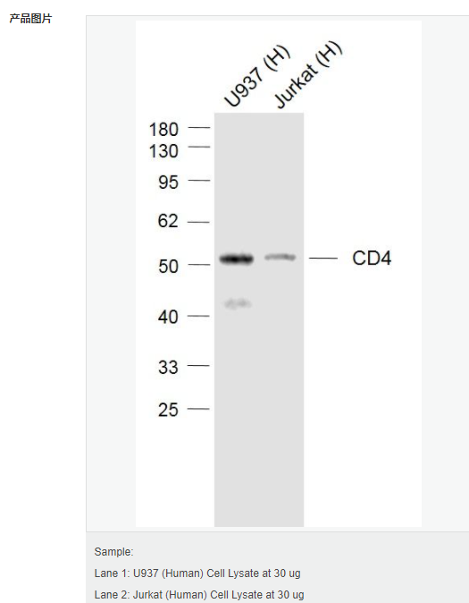 607d31801a197.png image.png